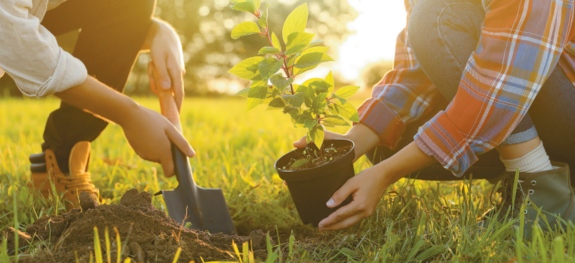 (E-SynC 특강) 전북지방환경청 김호은 청장 - 사람과 자연이 공존하는 전북특별자치도
